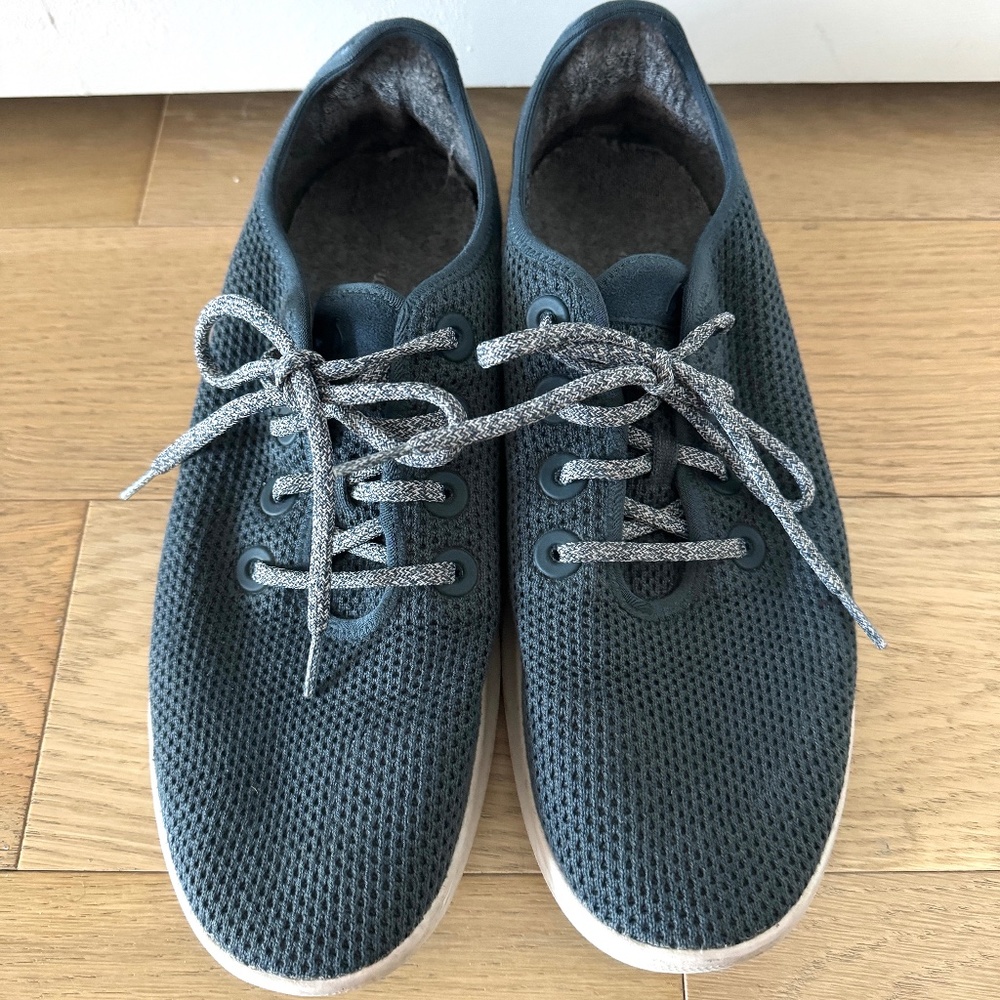 Allbirds Men's Tree Runners